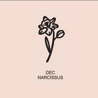 Anel Flor do Nascimento